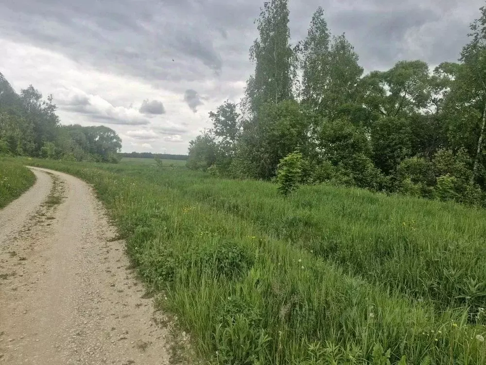 Участок в Московская область, Ступино городской округ, д. Авдулово-2 ... - Фото 1