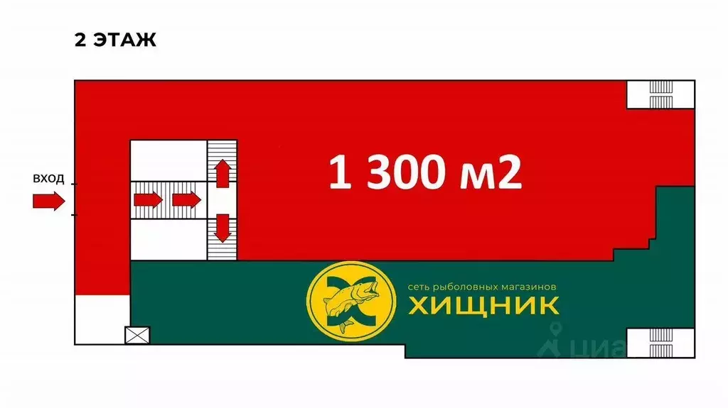 Торговая площадь в Воронежская область, Воронеж Средне-Московская ул., ... - Фото 0