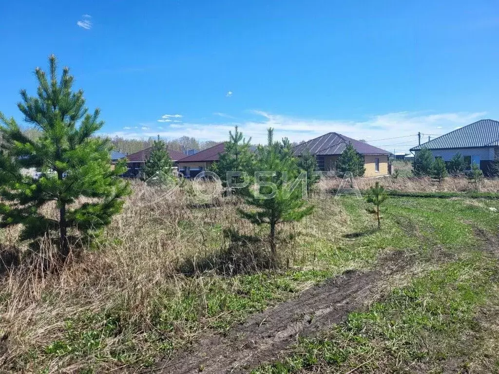Участок в Тюменская область, Тюменский район, д. Елань 14 (7.0 сот.) - Фото 0