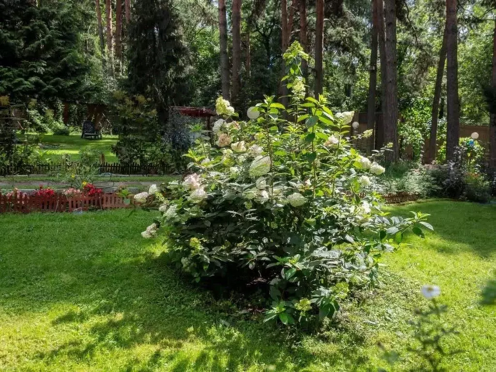 Участок в Москва ул. 10-я Новые Сады, 12С1 (10.0 сот.) - Фото 2