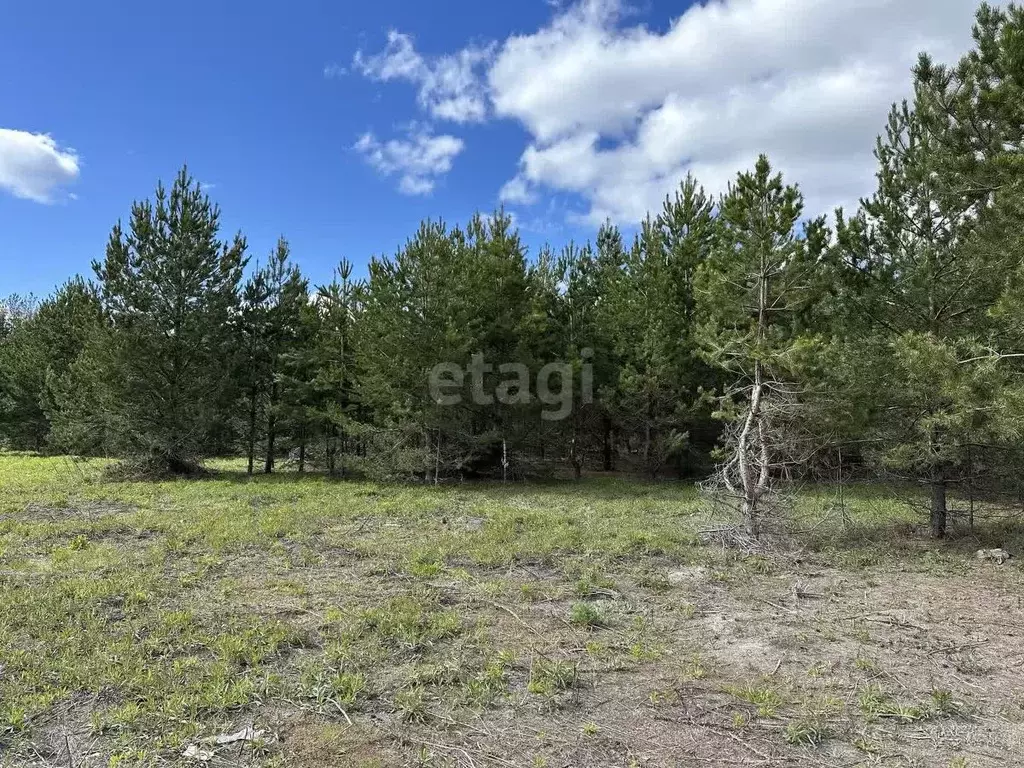Участок в Татарстан, Лаишевский район, Никольское с/пос, с. Тарлаши  ... - Фото 1