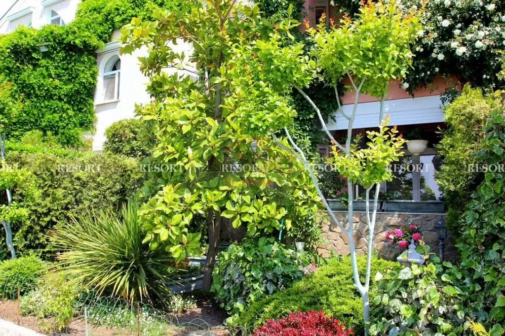 Дом в Крым, Ялта муниципальный округ, Никита пгт 3-я линия (250 м) - Фото 2