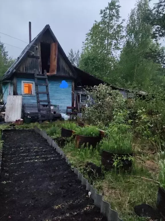 Участок в Архангельская область, Приморский муниципальный округ, ... - Фото 2