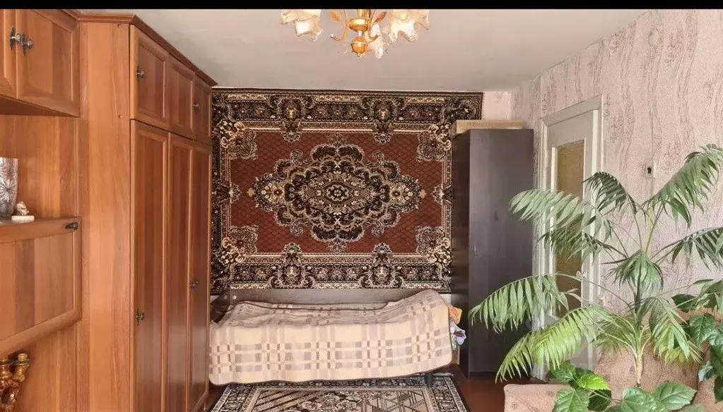 1-к кв. Калужская область, Калуга ул. Клюквина, 27 (29.8 м) - Фото 1