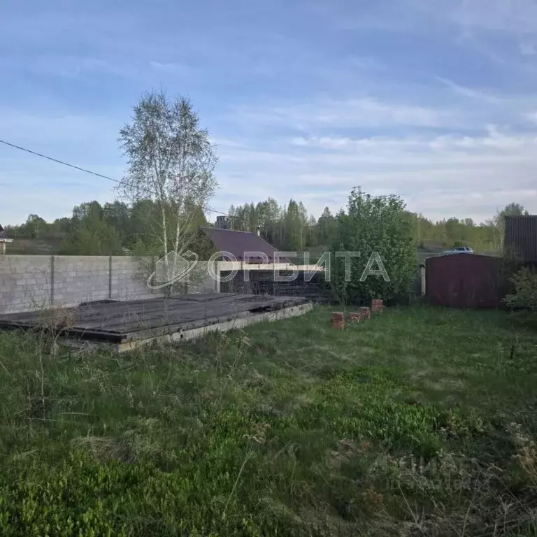 Участок в Тюменская область, Тюменский район, с. Кулаково ул. Дмитрия ... - Фото 2