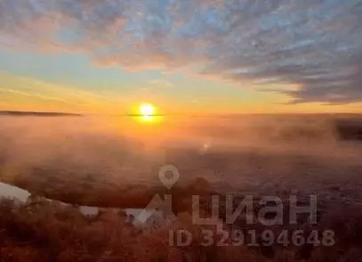 Участок в Тульская область, Одоевский район, Северо-Одоевское с/пос, ... - Фото 1
