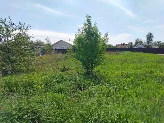 Участок в Московская область, Черноголовка городской округ, д. Ботово ... - Фото 0