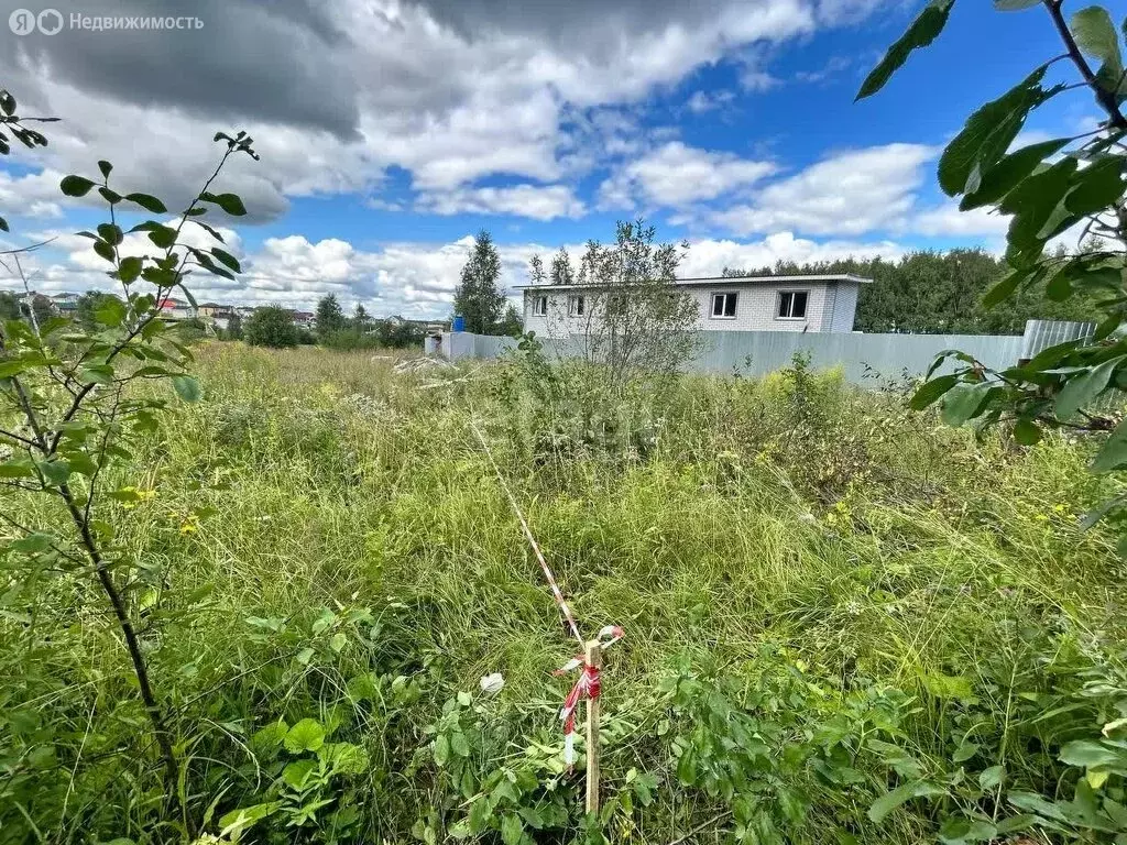 Участок в Нижегородская область, Кстовский муниципальный округ, село ... - Фото 0