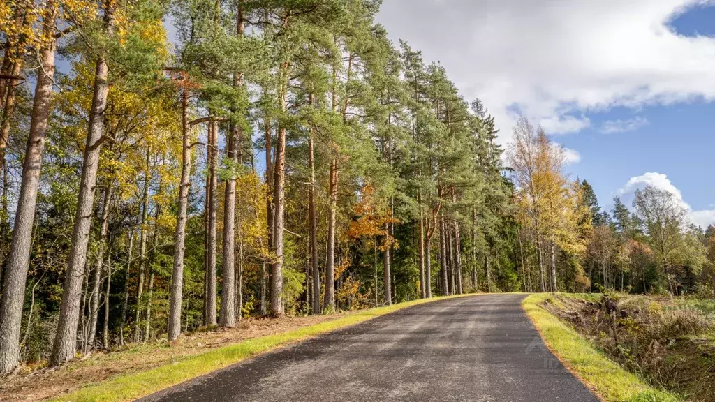 Участок в Ленинградская область, Выборгский район, Первомайское с/пос, ... - Фото 1