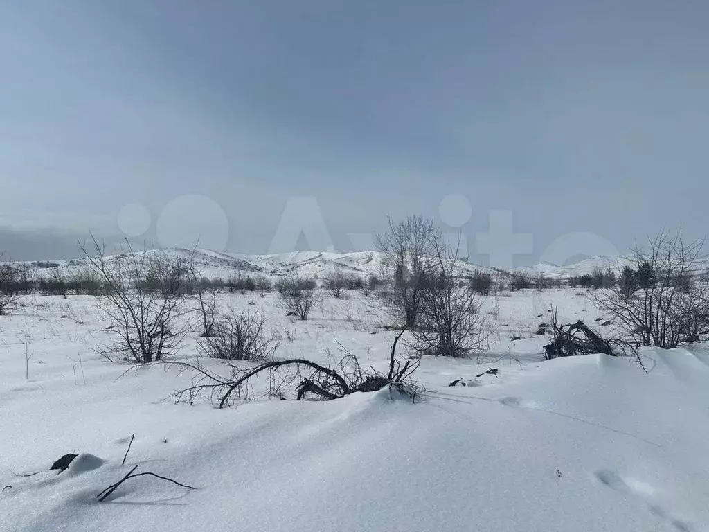 Купить Участок В С Подгорное Горно Алтайск