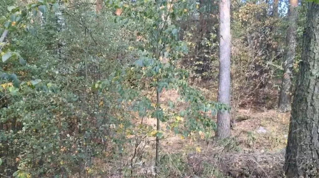 Участок в Московская область, Щелково городской округ, д. Головино  ... - Фото 0