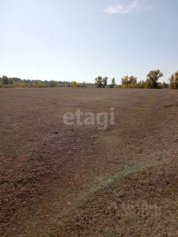 Участок в Саратовская область, Энгельсский район, Красноярское ... - Фото 1