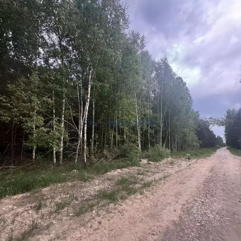 Участок в Нижегородская область, Богородский муниципальный округ, д. ... - Фото 2