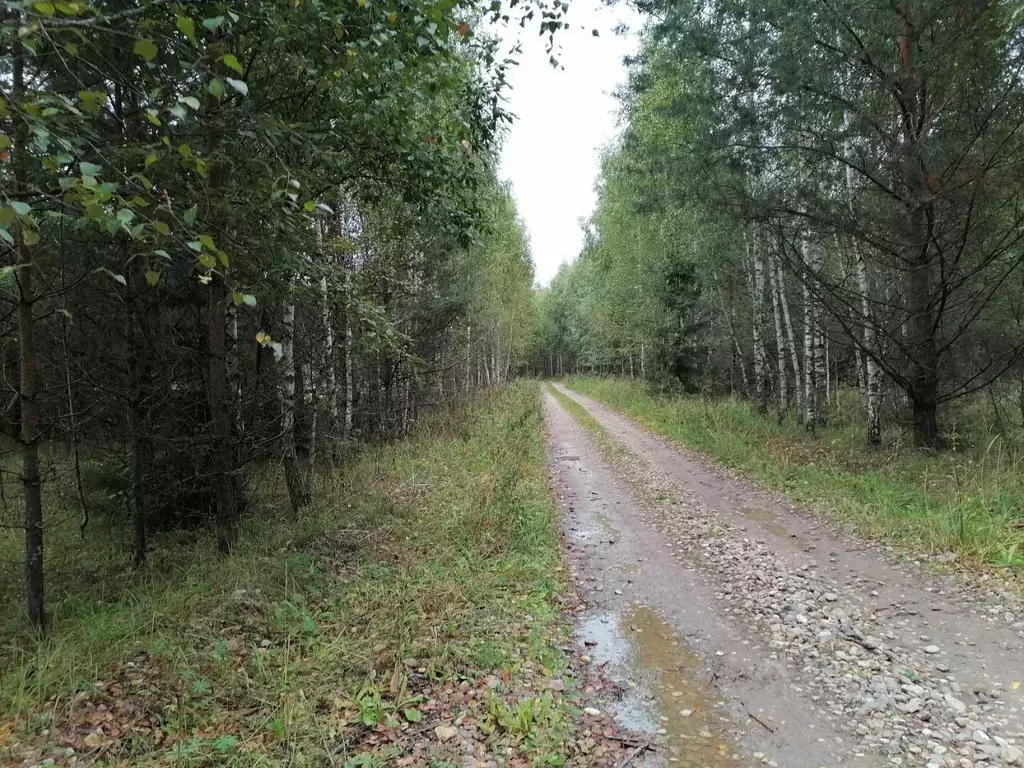Участок в Владимирская область, Киржачский муниципальный округ, д. ... - Фото 1