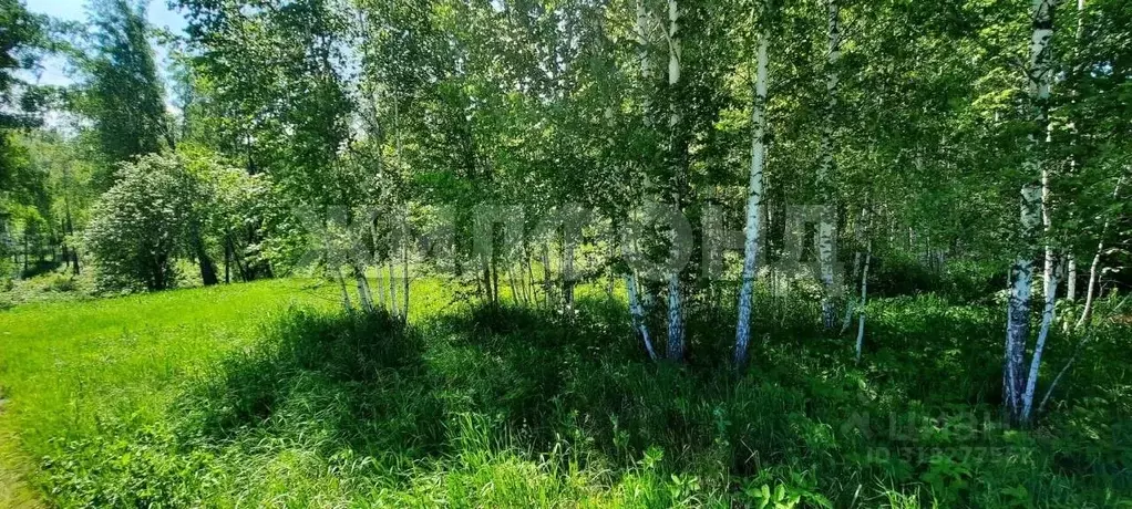 Участок в Новосибирская область, Искитимский район, Морозовский ... - Фото 1
