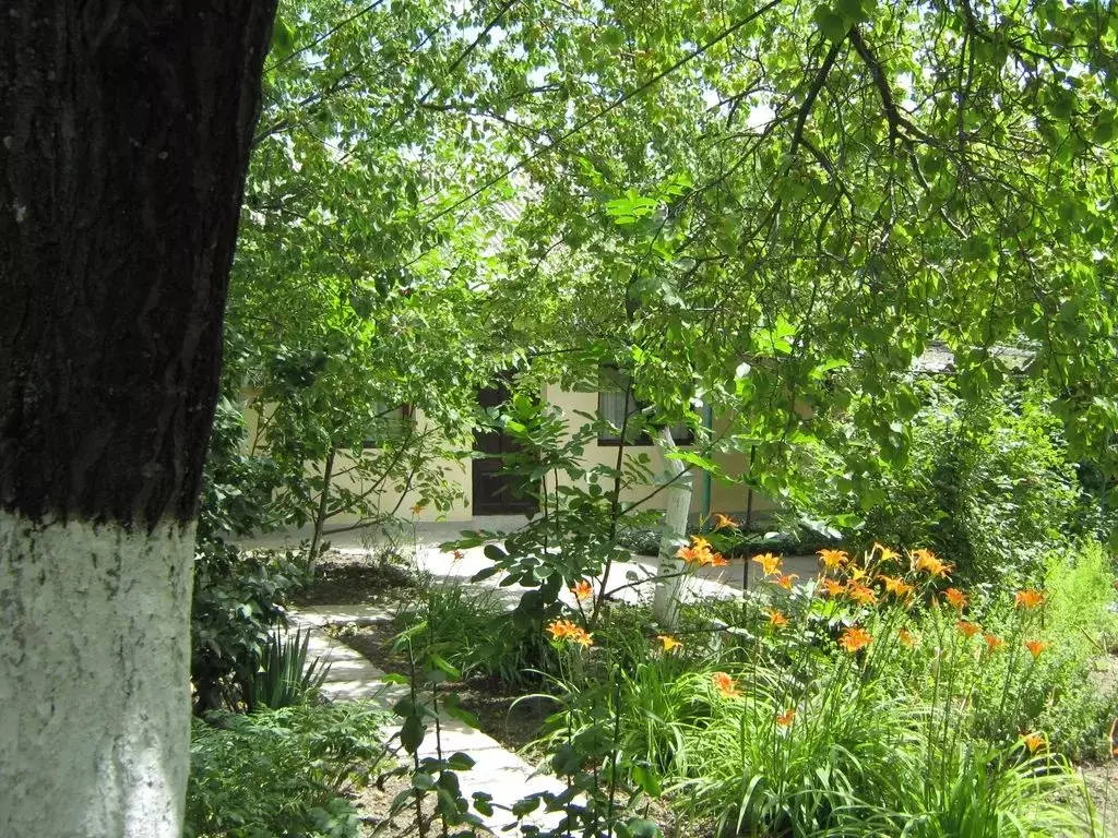 2-к кв. Крым, Судак ул. Бирюзова, 49 (45.0 м) - Фото 0