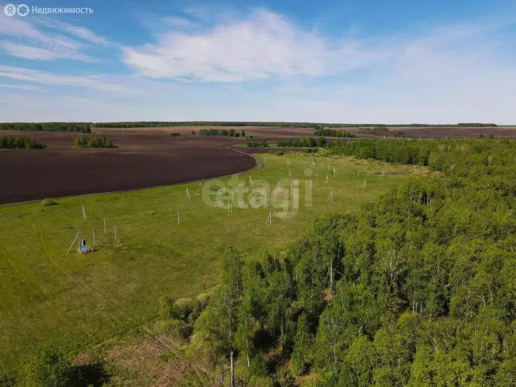 Участок в Тюменский район, село Червишево (10 м) - Фото 0