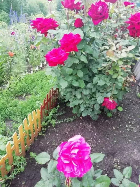 Дом в Кемеровская область, Новокузнецкий муниципальный округ, Рябинка ... - Фото 1