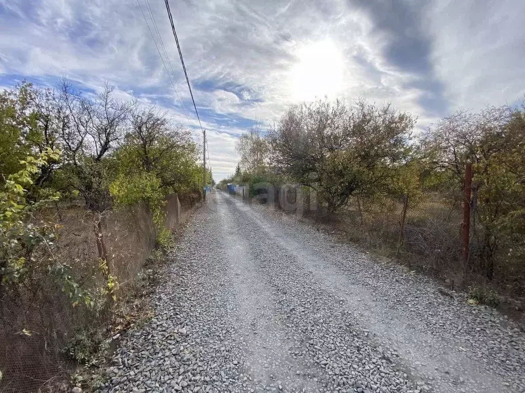 Участок в Ростовская область, Азовский район, Новоалександровское ... - Фото 1