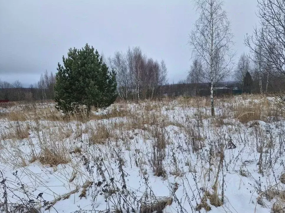 Участок в Московская область, Ступино городской округ, с. Хонятино ул. ... - Фото 0