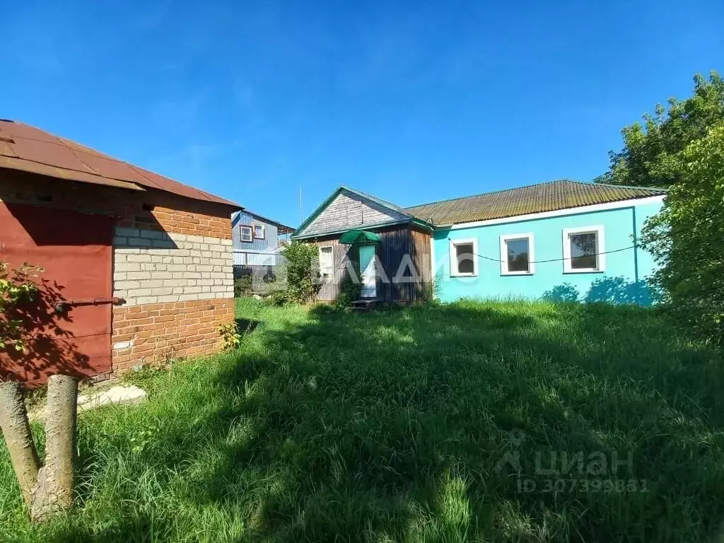Дом в Рязанская область, Спасский район, Панинское с/пос, с. Новики ... - Фото 0