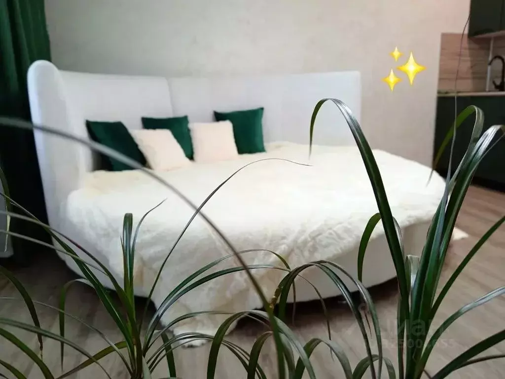 Студия Новосибирская область, Искитим Советская ул., 245/4 (28.0 м) - Фото 2