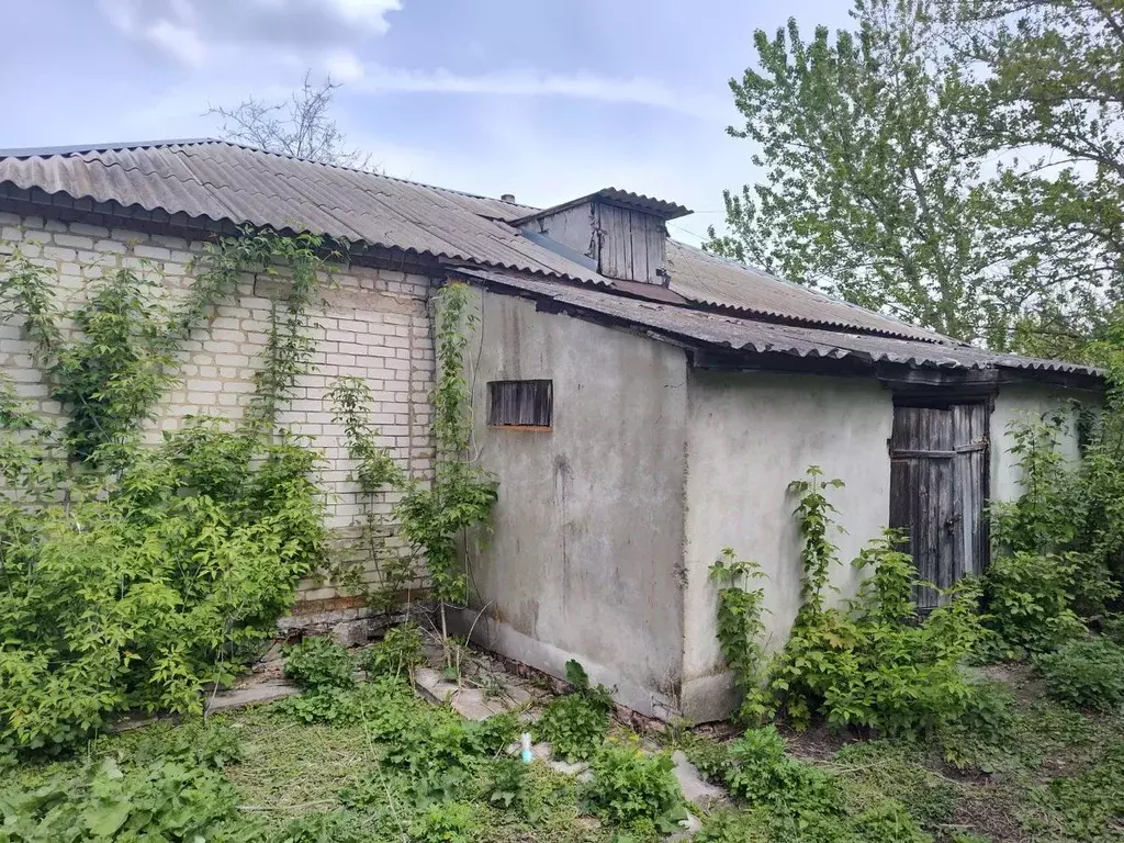 Помещение свободного назначения в Курская область, Щигровский район, ... - Фото 0