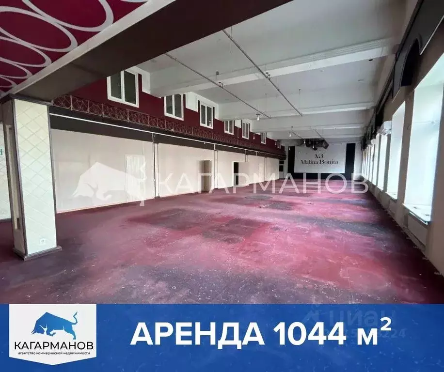 Помещение свободного назначения в Новосибирская область, Новосибирск ... - Фото 0