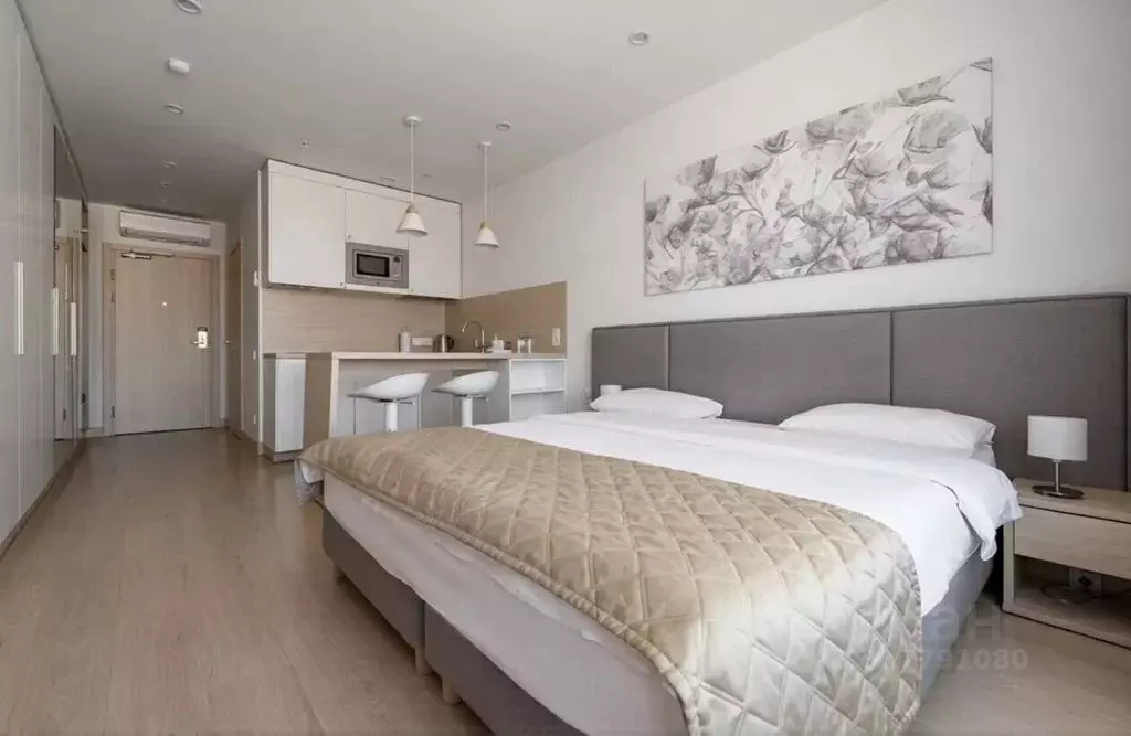 Студия Москва ул. 1-я Леонова, 18 (30.0 м) - Фото 1