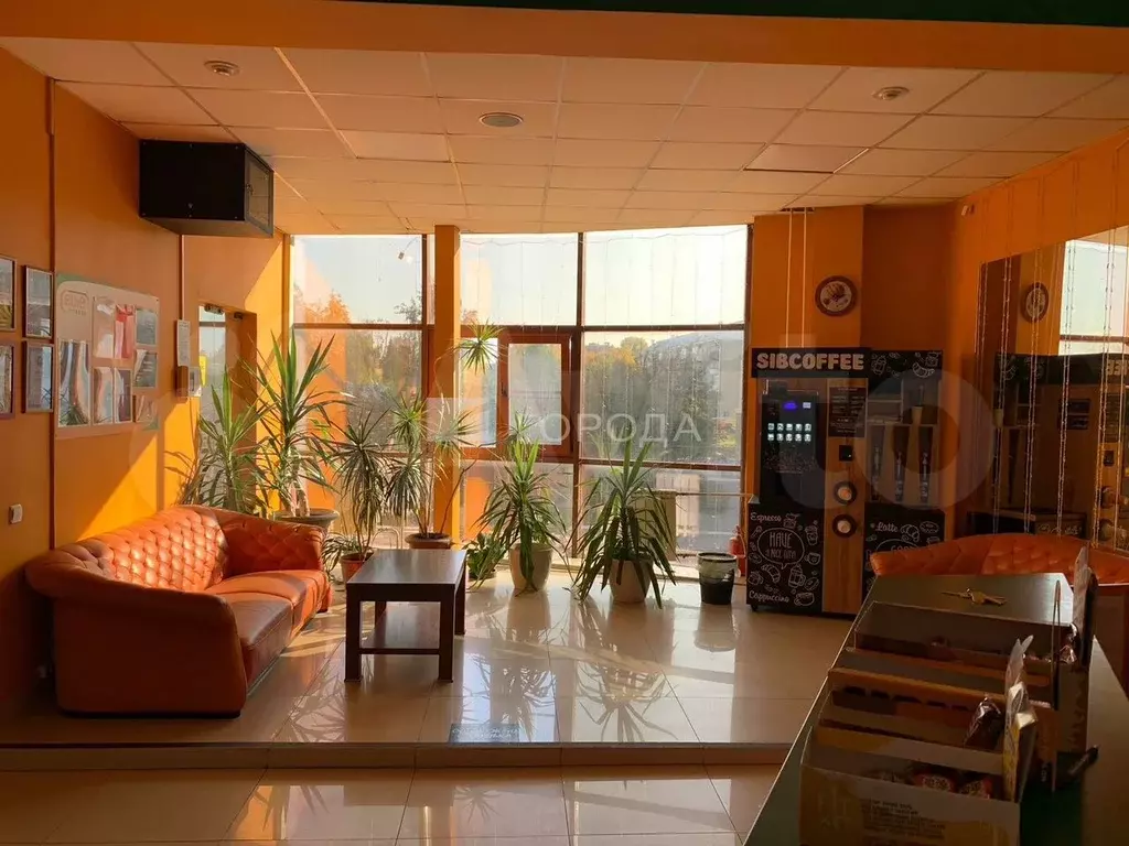 Сдам помещение свободного назначения, 31 м - Фото 1