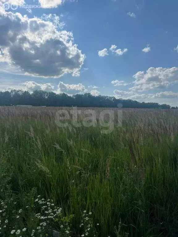 Участок в Республика Мордовия, городской округ Саранск, посёлок ... - Фото 2