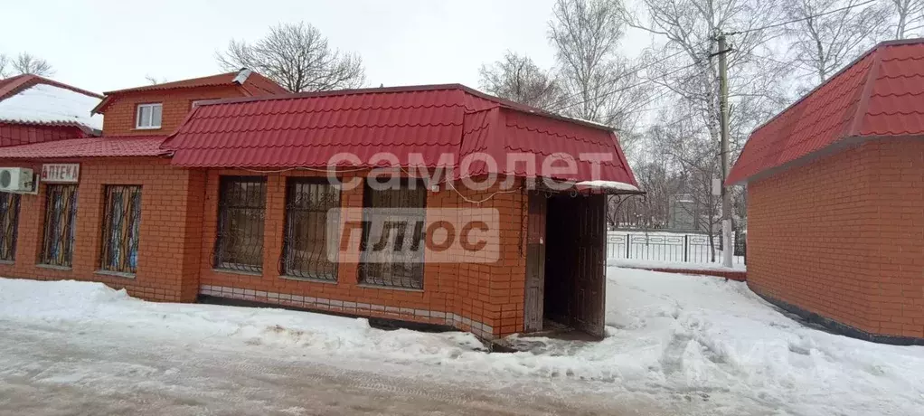 Торговая площадь в Воронежская область, с. Нижнедевицк ул. Чижова, 2И ... - Фото 1