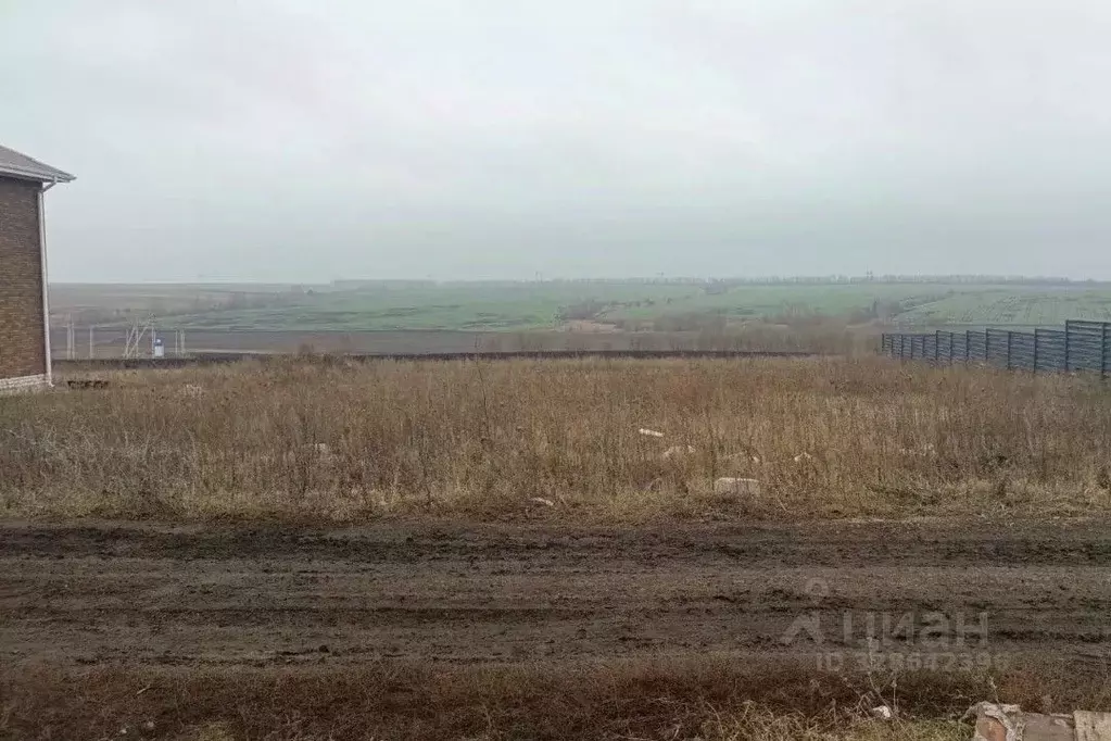 Участок в Липецкая область, Липецкий муниципальный округ, с. Частая ... - Фото 2