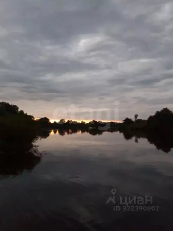 Дом в Калужская область, Дзержинский муниципальный округ, Дворцы ... - Фото 2