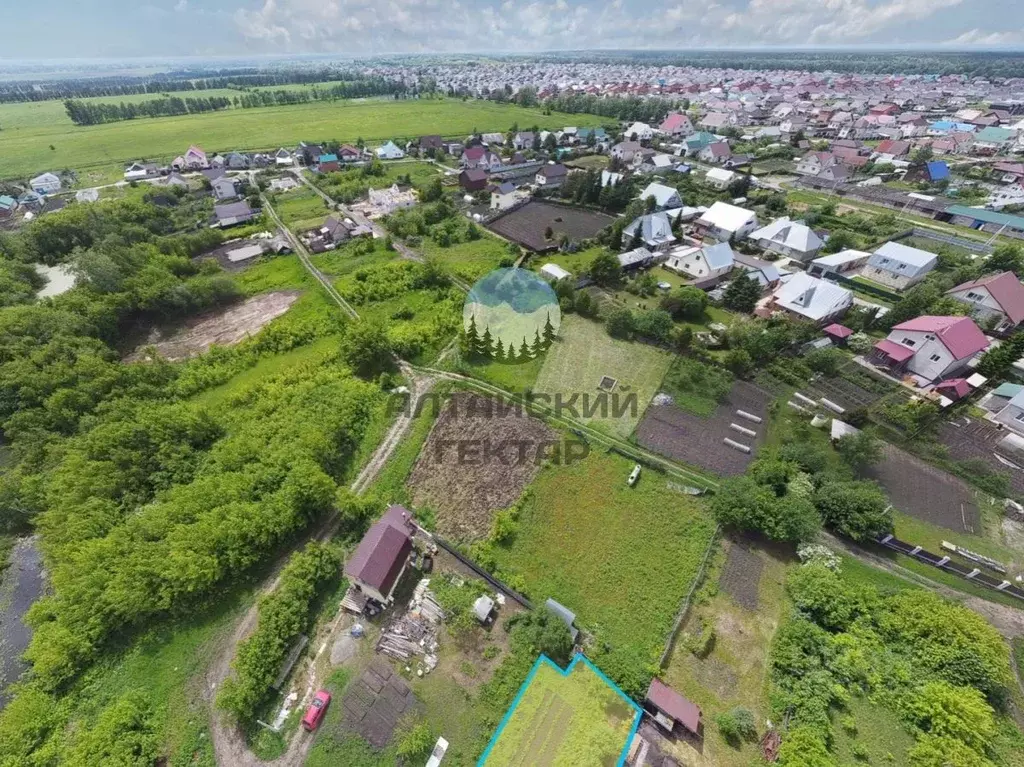 Участок в Алтайский край, Барнаул городской округ, с. Лебяжье ул. ... - Фото 1