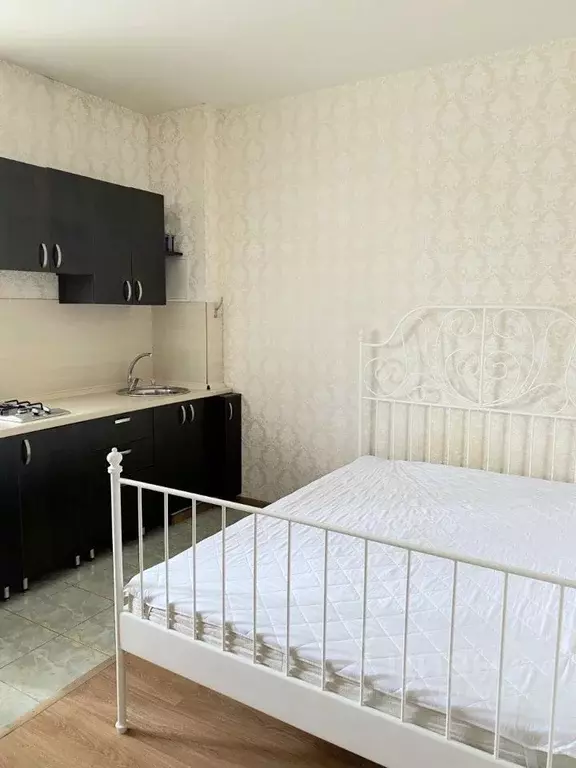 Студия Краснодарский край, Сочи Светлана мкр, ул. Серафимовича, 5 ... - Фото 1