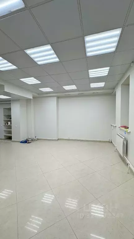 Помещение свободного назначения в Москва ул. Льва Толстого, 8С3 (117 ... - Фото 1