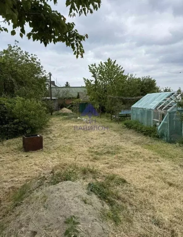 Дом в Ростовская область, Цимлянск Набережная ул. (20 м) - Фото 2