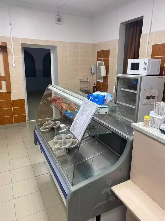 Помещение свободного назначения в Иркутская область, Усть-Илимск ул. ... - Фото 1