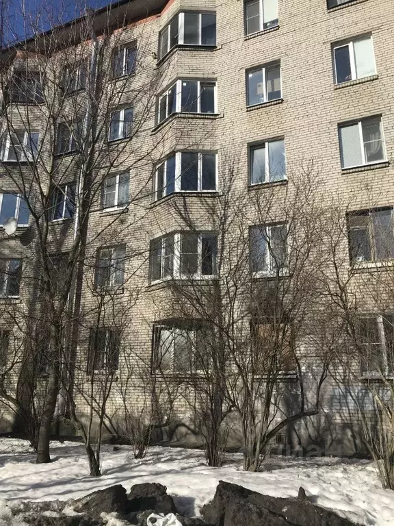 1-к кв. Санкт-Петербург Школьная ул., 76 (31.4 м) - Фото 1