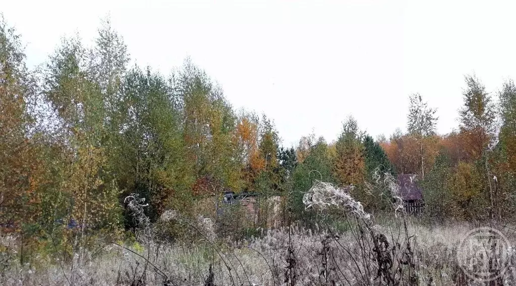 Участок в Ленинградская область, Выборгский район, Советское городское ... - Фото 1