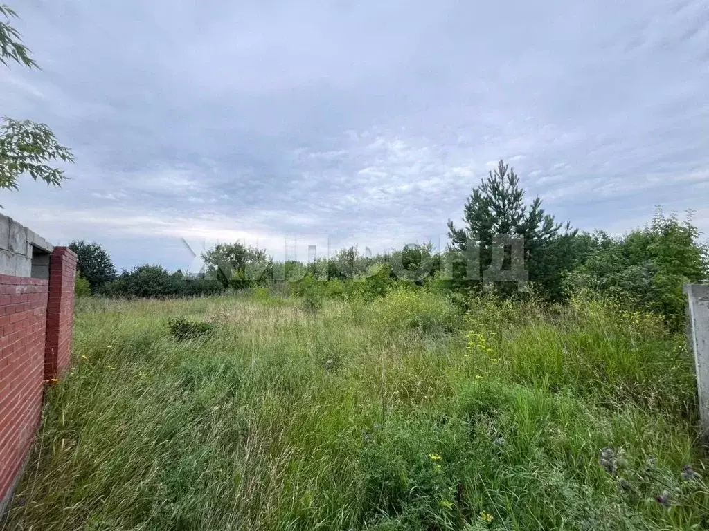 Участок в Новосибирская область, Новосибирский район, Боровской ... - Фото 2