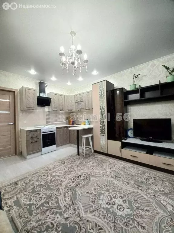 Квартира-студия: Оренбург, Транспортная улица, 16/1 (27 м) - Фото 1