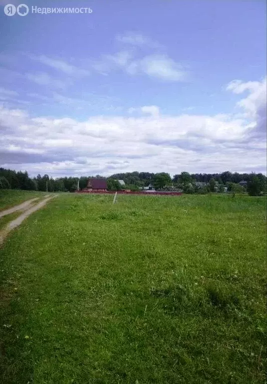 Участок в Тверская область, Рамешковский муниципальный округ, сельское ... - Фото 1
