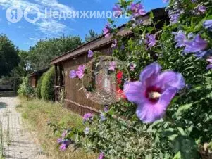 Участок в село Оленевка, улица Елисеева, 12 (23.269999 м) - Фото 0