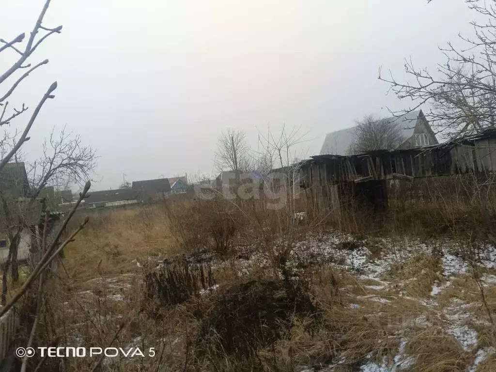 Участок в Брянская область, Жуковский муниципальный округ, с. Ржаница ... - Фото 1