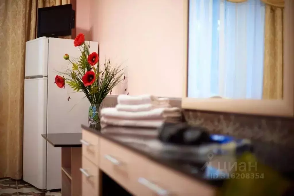 Комната Краснодарский край, Туапсинский муниципальный округ, с. ... - Фото 2