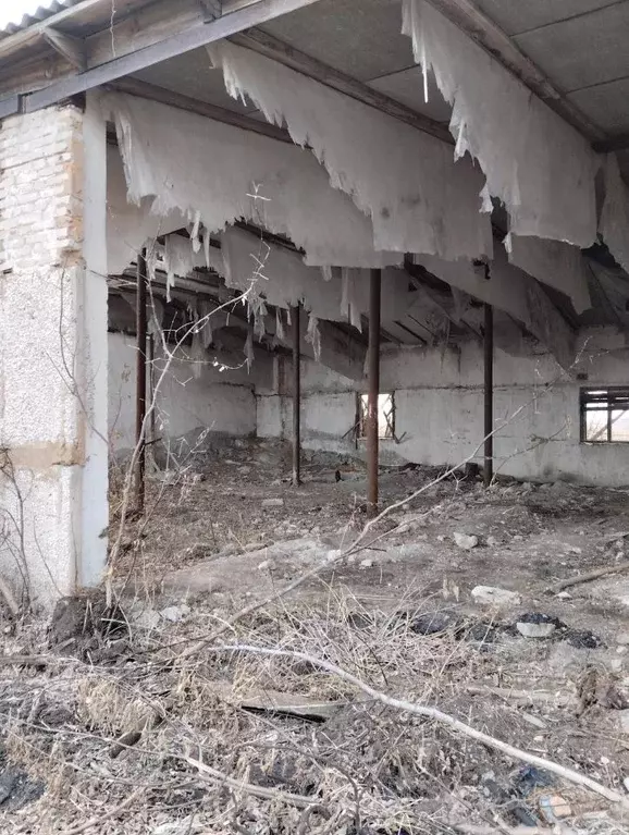 Гараж в Курганская область, Альменевский муниципальный округ, с. ... - Фото 1