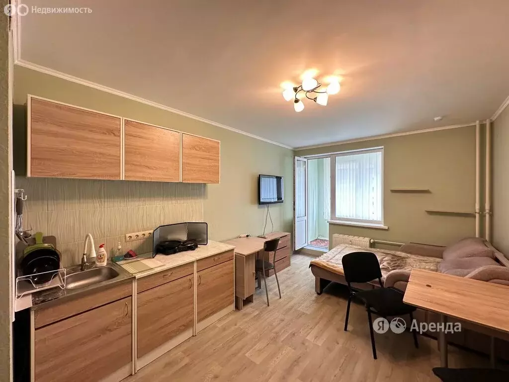 Квартира-студия: Мурино, Ручьёвский проспект, 2 (24 м) - Фото 1