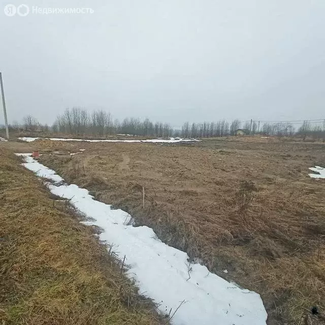 Участок в Гостилицкое сельское поселение, садоводческое некоммерческое ... - Фото 1